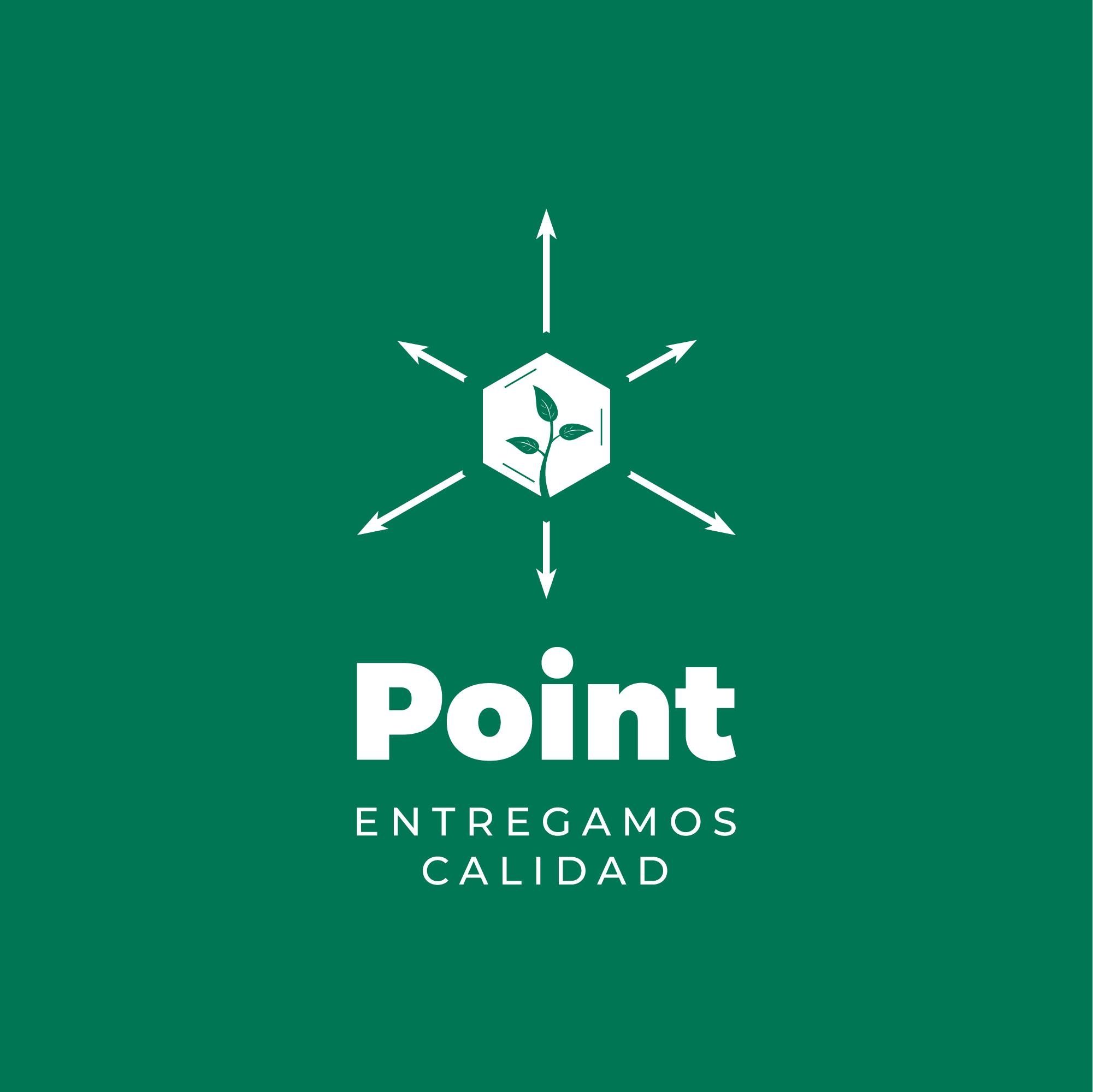 Point Andina's icon