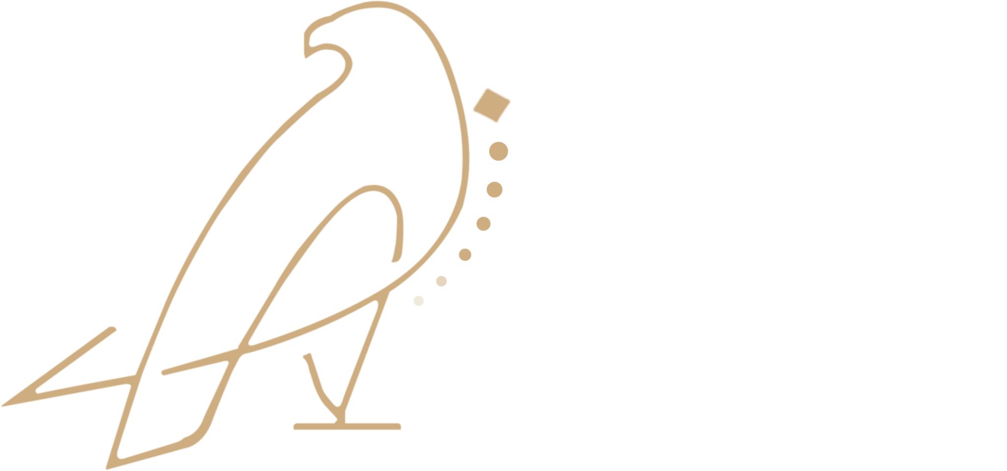 VATSIM Middle East & Northern Africa Logo & Brand Assets (SVG, PNG and ...