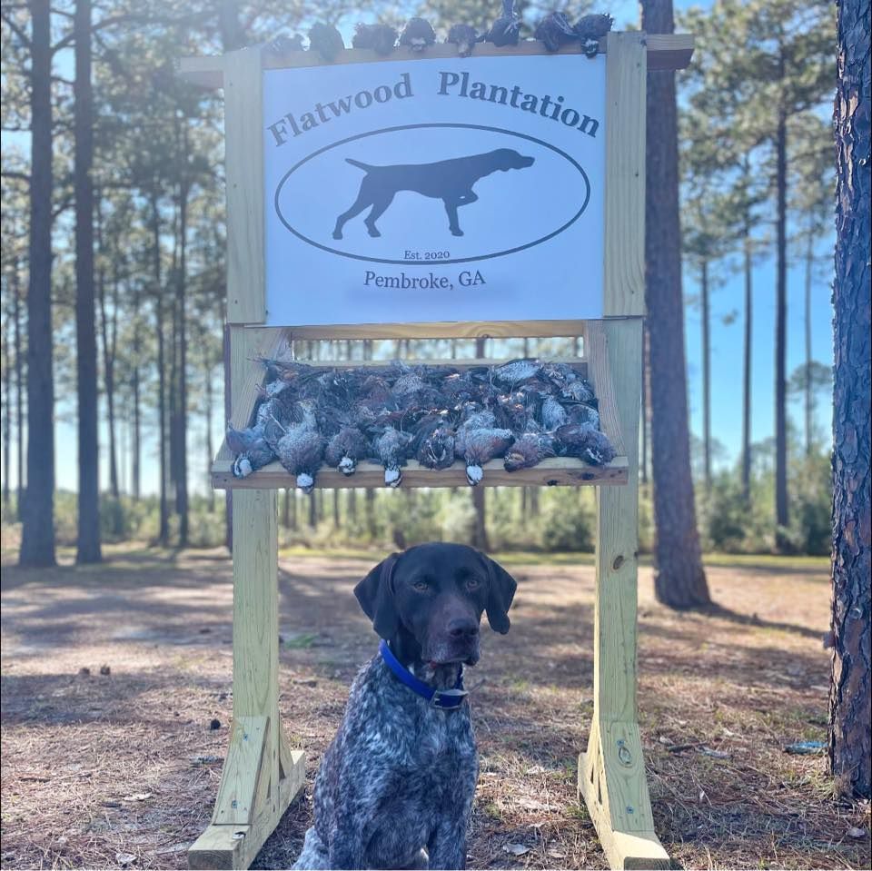Flatwood Plantation's brand icon