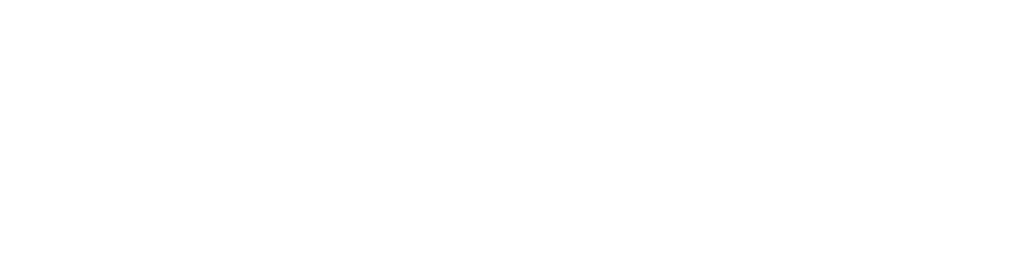 Stanley Pearlman Enterprise logo