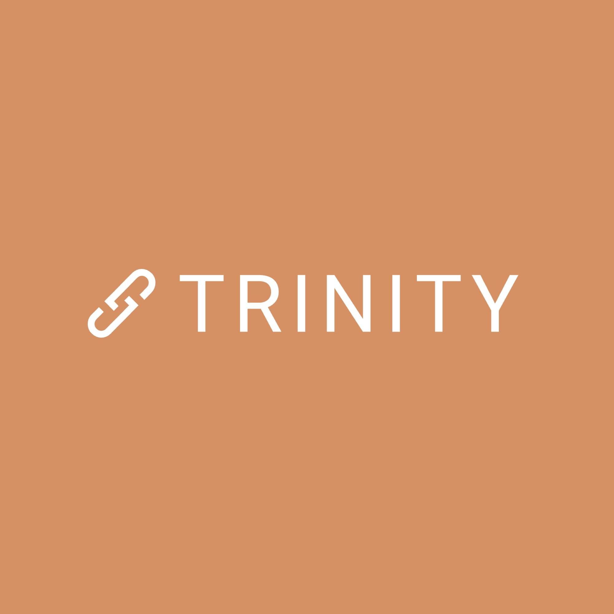 Trinity Solutions's icon
