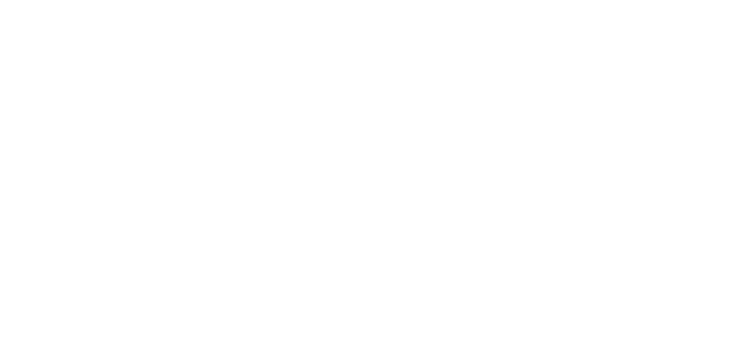 Vullify Systems's logos