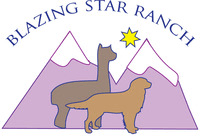 Karen S Champion's logos