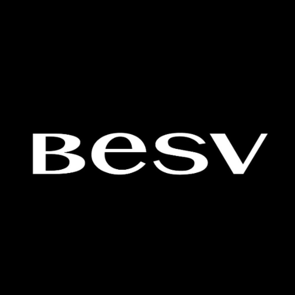 BESV Europe's icon