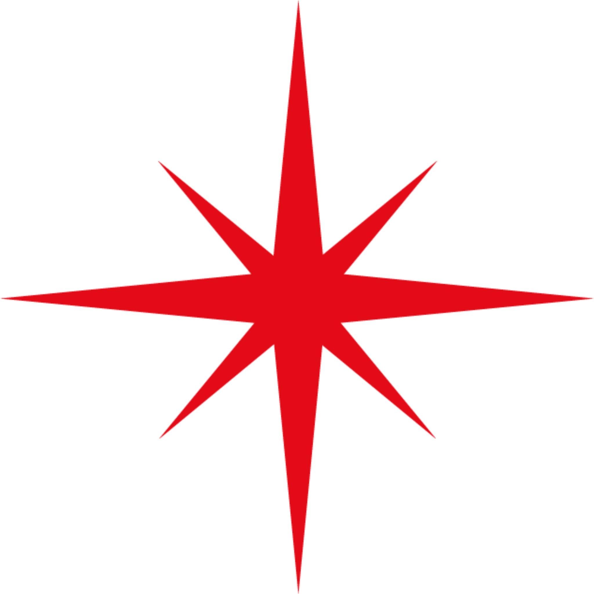 Star Tek Group's icon