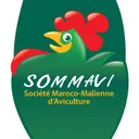 Sommavi's icon