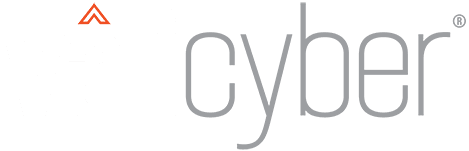 Vali Cyber's logos
