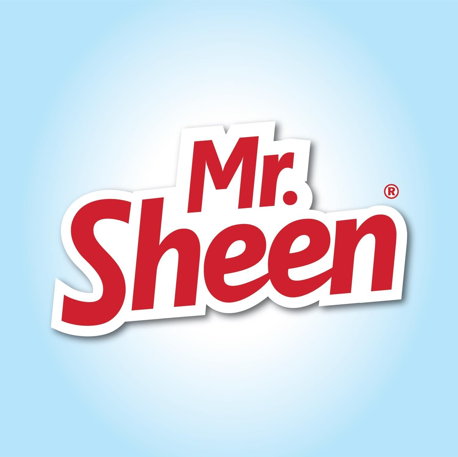 Mr Sheen's icon
