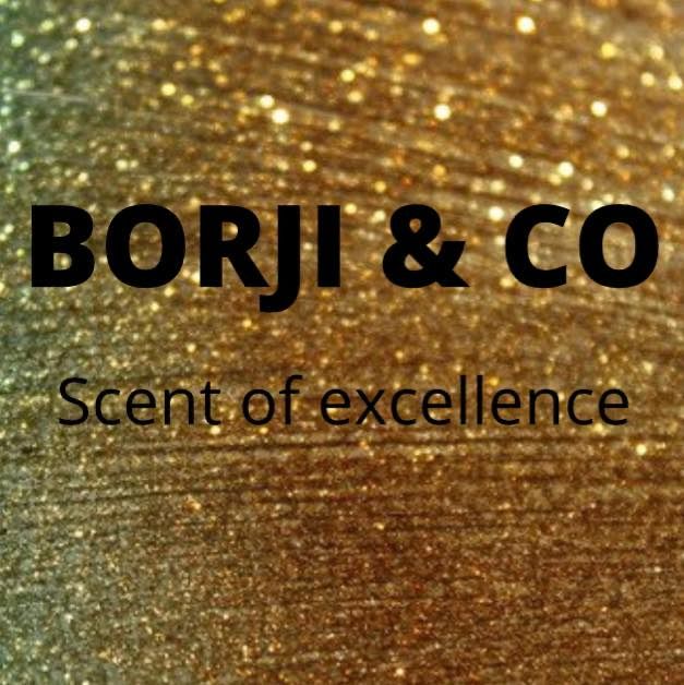 borjieco.com.br's icon