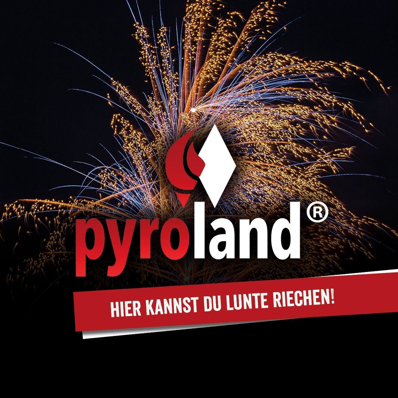 ꟾ Pyroland's icon