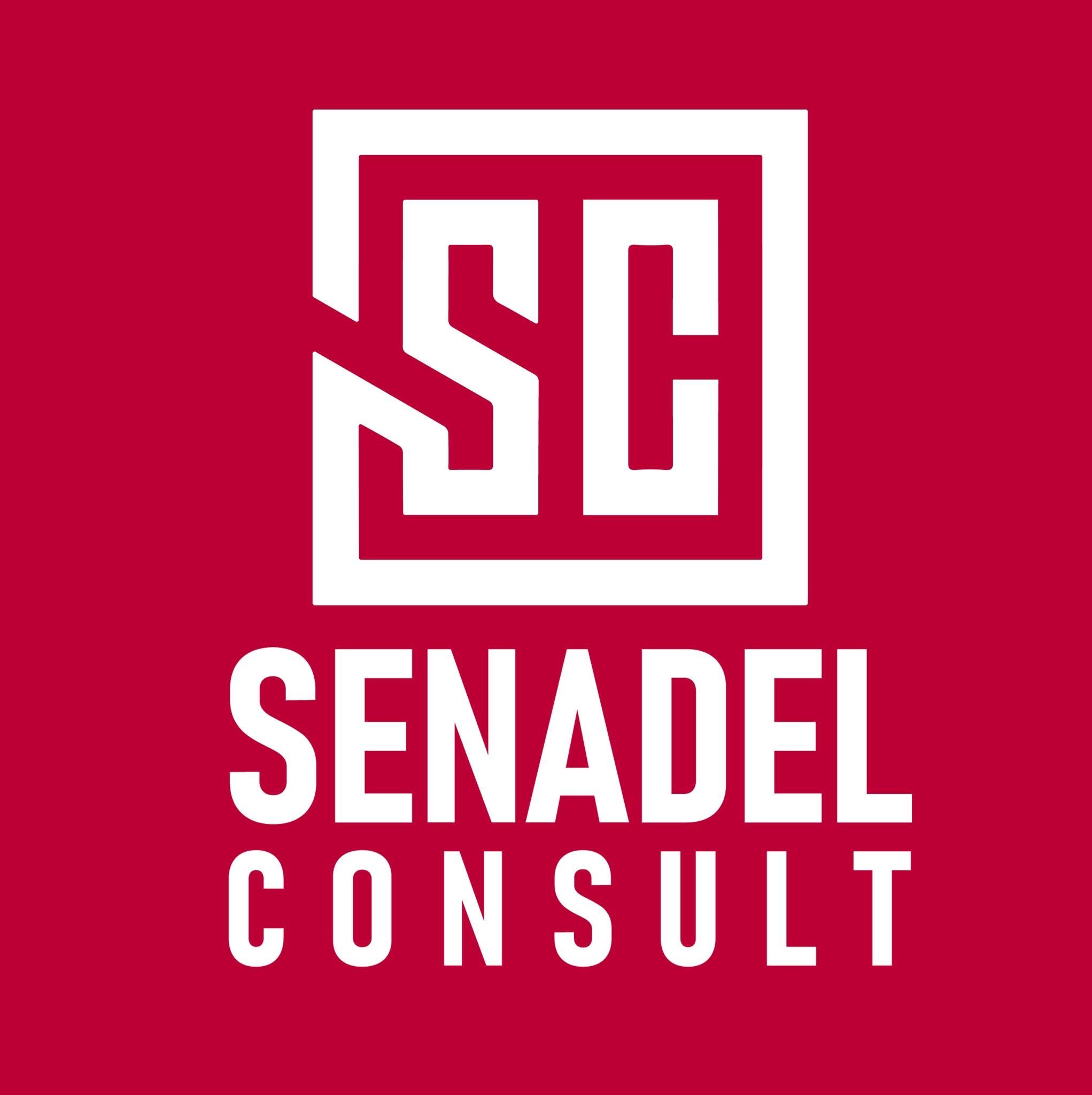 Senadel Consult's icon