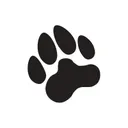 Black Pug Studio's icon