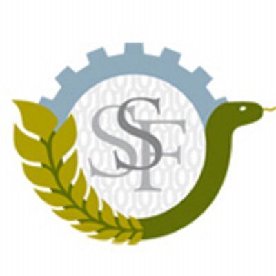 Strategisk's icon