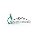 BGP CONSULTING LLC's icon