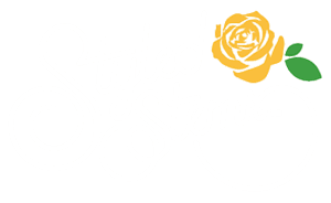 Styled Stems Florist | Blaine MN's logos