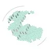 Pangaea Wealth Pte. Ltd.'s icon