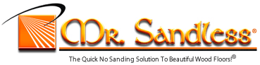Mr. Sandless logo