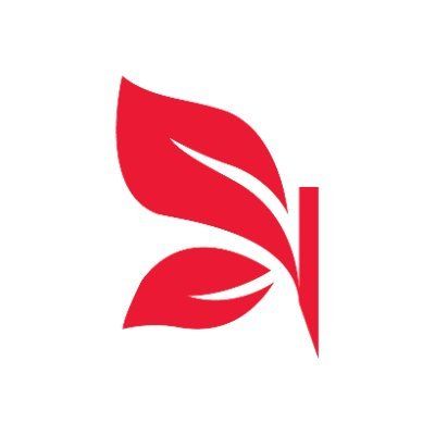 Kianda Foundation's icon
