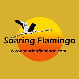Soaring Flamingo's icon