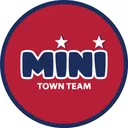 Mini-townteam's icon