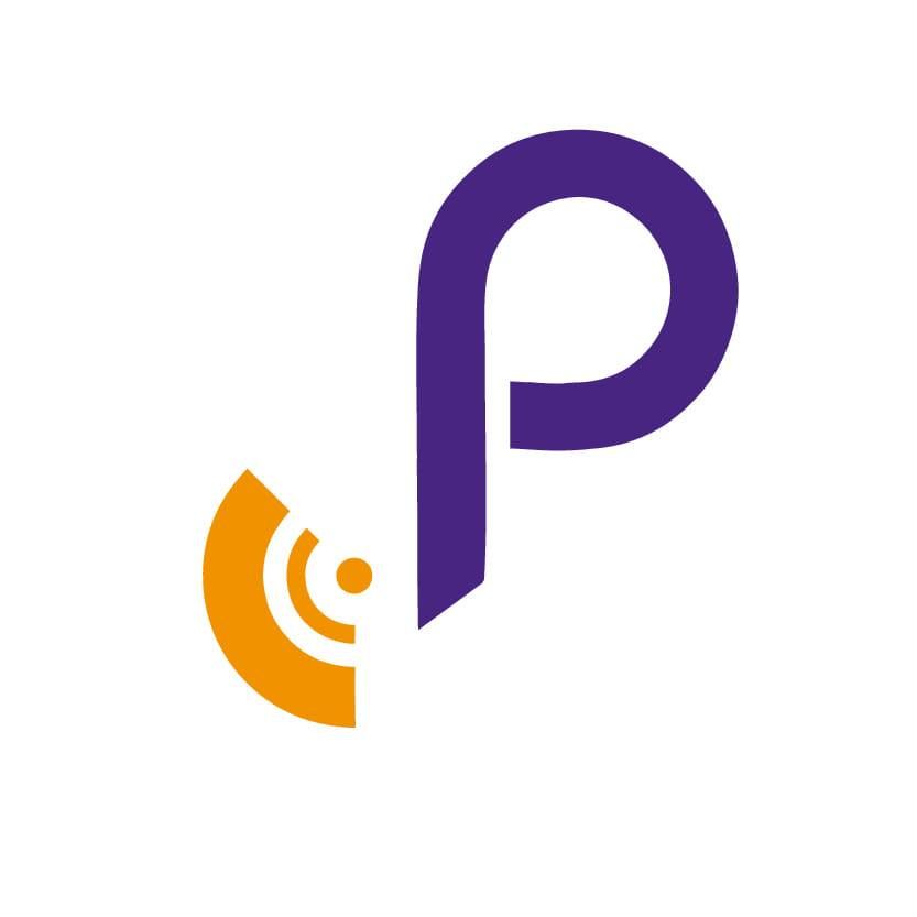 PINSOL's icon