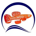 Diapteron Limited's icon
