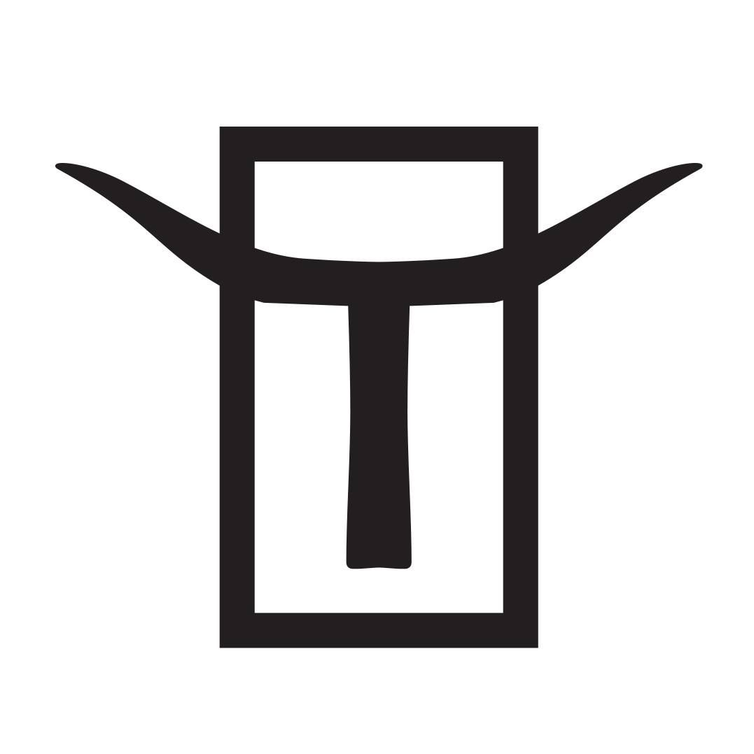 Toro Productions's icon