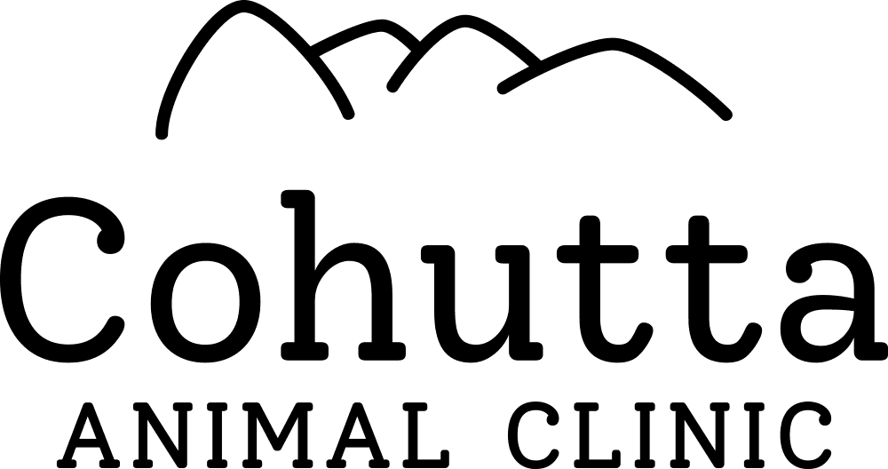 GA Cohutta Animal Clinic's logos
