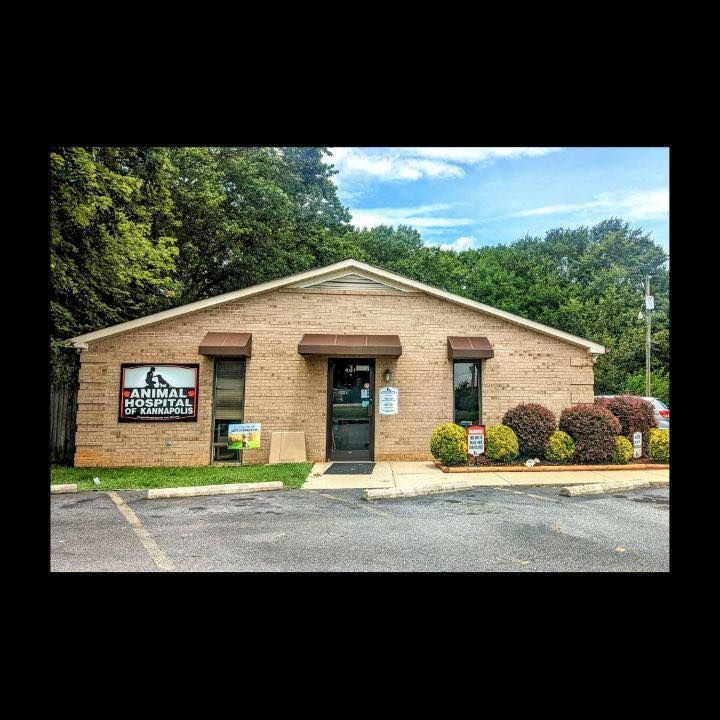 Animal Hospital of Kannapolis's icon