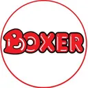 Boxer's icon