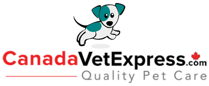 CanadaVetExpress coupons, promo codes & deals