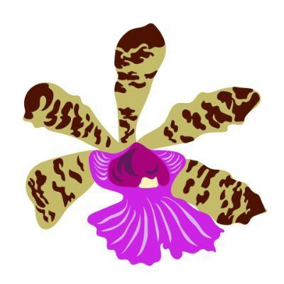 Großräschener Orchideen's icon