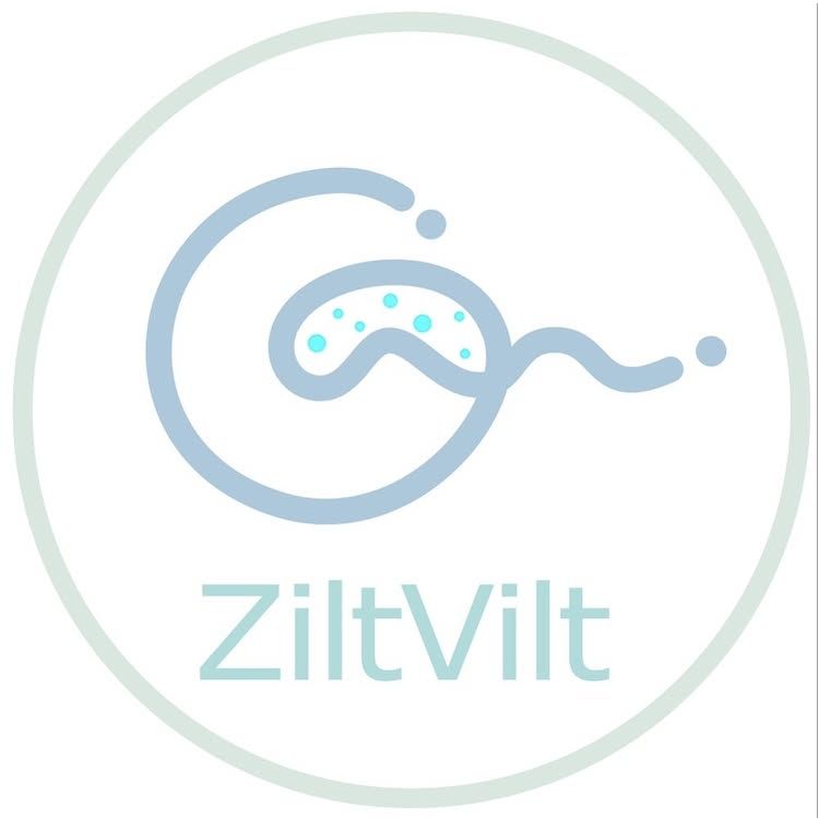 ZiltVilt's icon