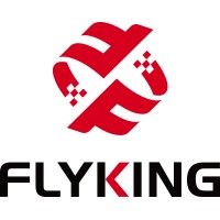 Flyking Technology's icon