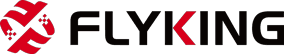 Flyking Technology's logos