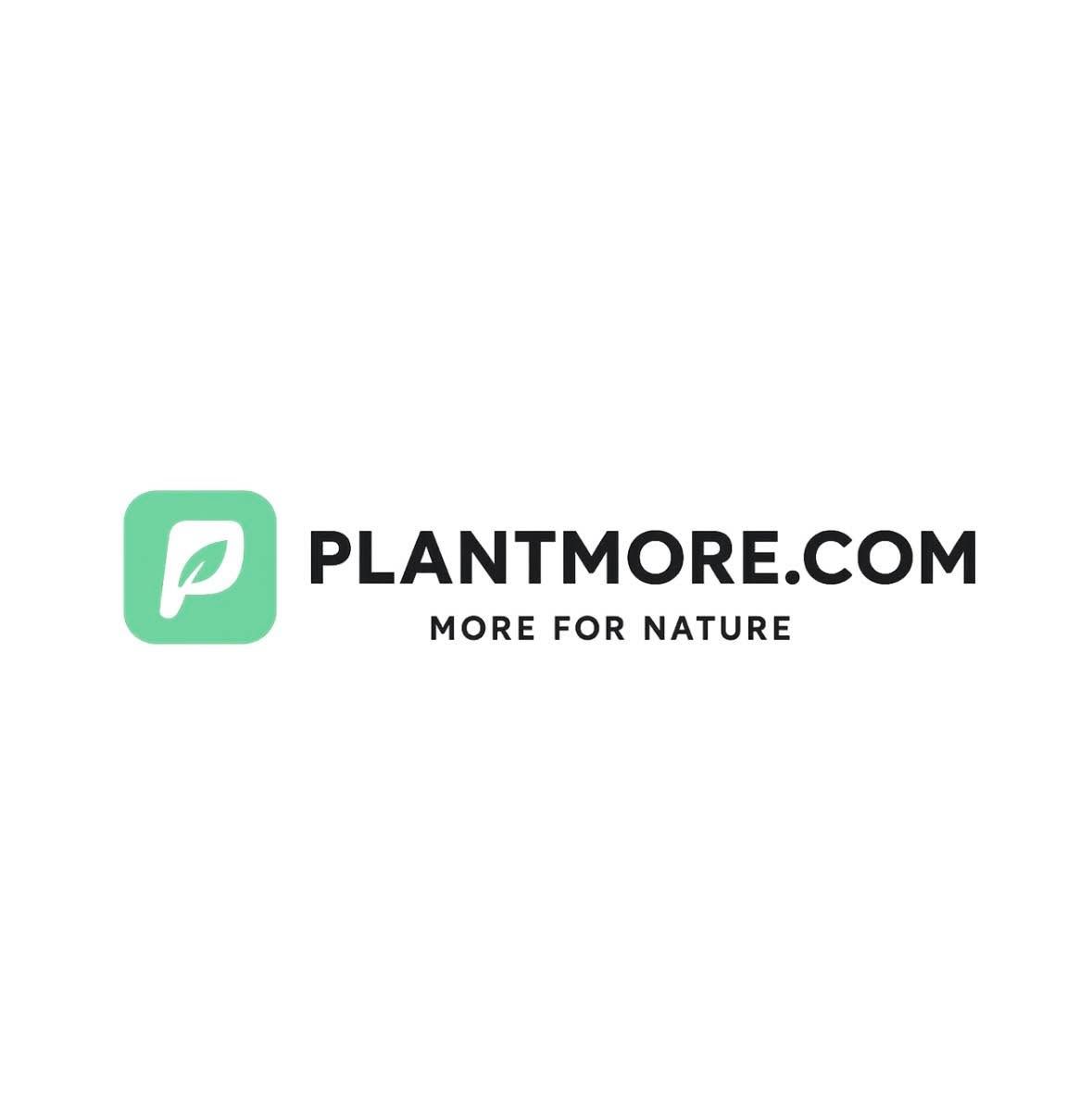 Plantmore.com's icon