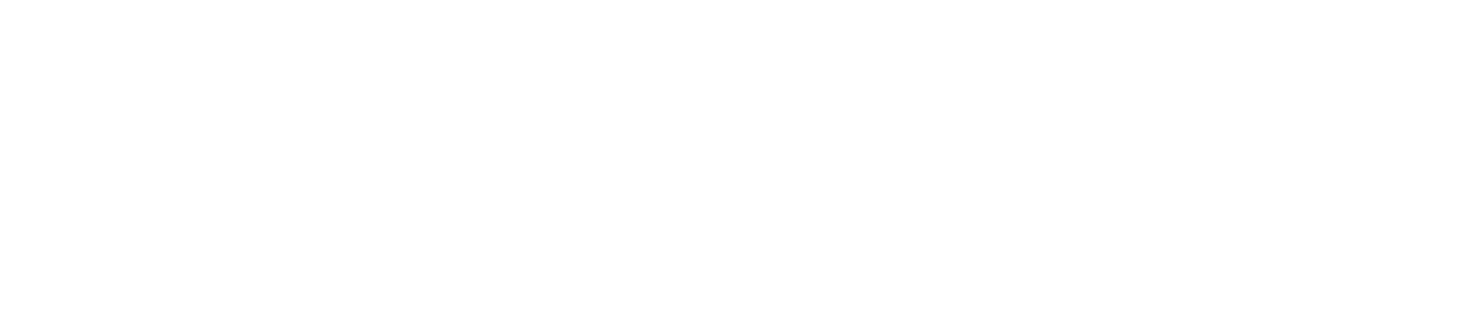 Powerfox's logos