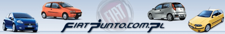 Fiat Punto's logos