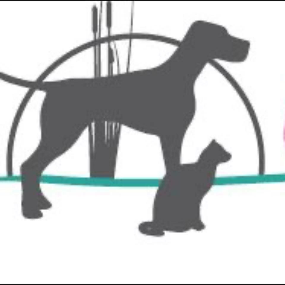 Creekside Animal Hospital's icon