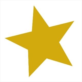 Gold Star Aviation's icon