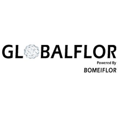 BOMEIFLOR's icon