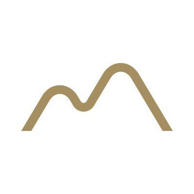 The Silver Mountain's icon