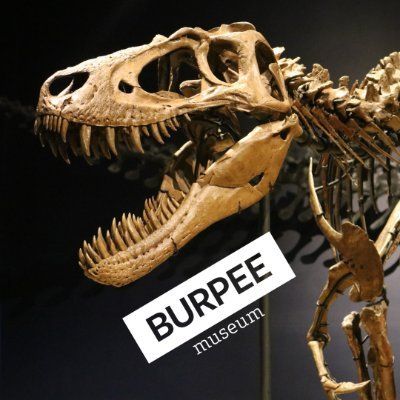 BurpeeMuseum's icon
