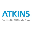 Atkins's icon