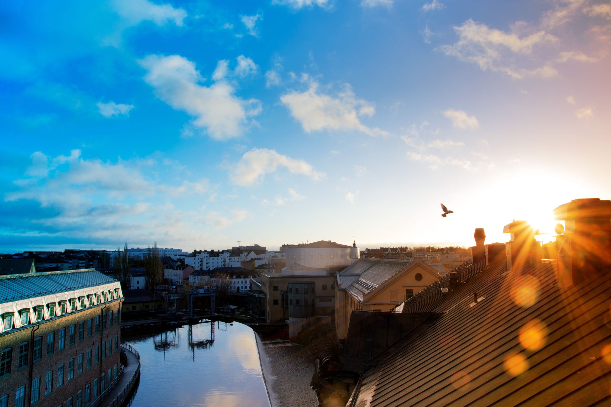 Banner