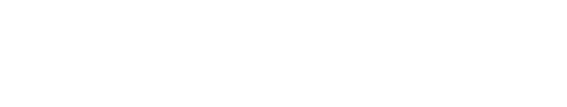 Veezi's logos