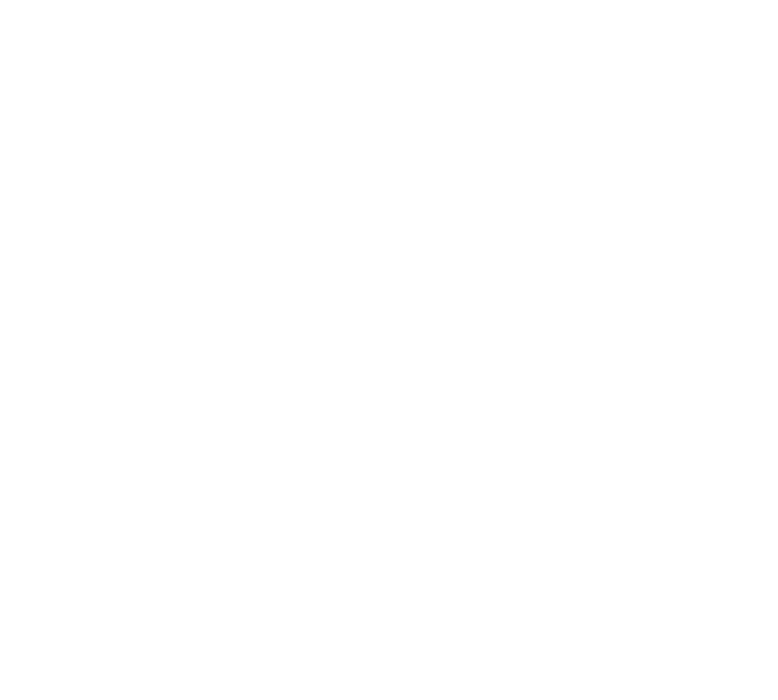 graceargentina.com.ar's logos