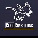 Cleo Consulting logo