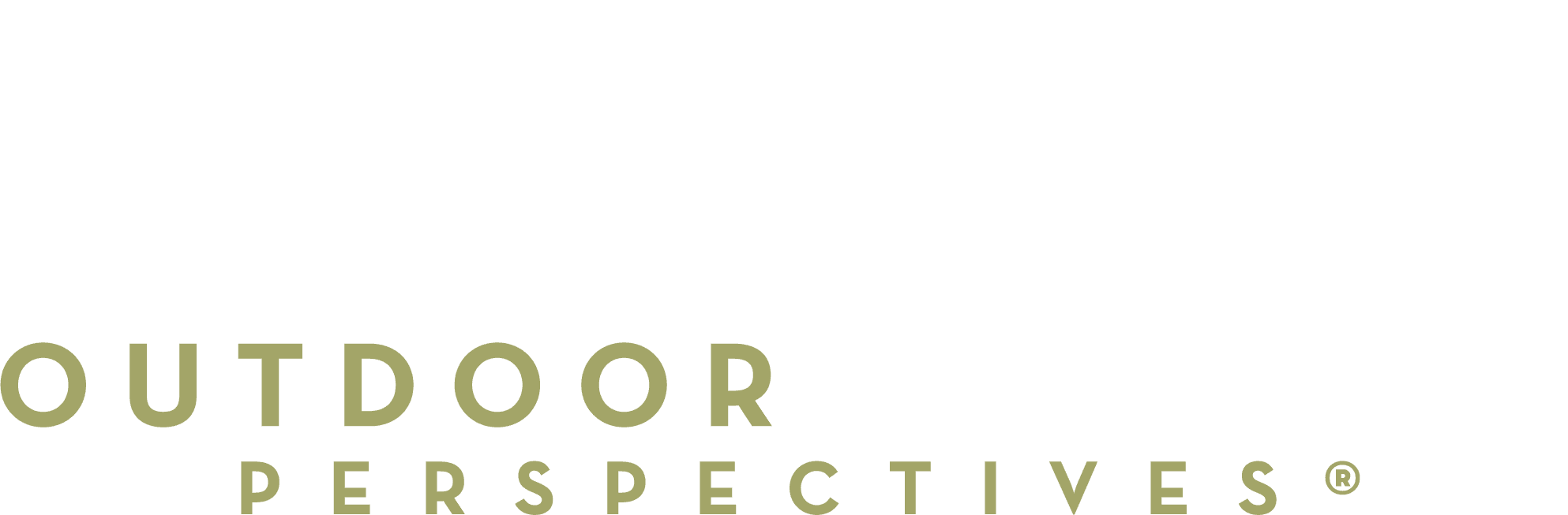 Outdoor Lighting Perspectives logo