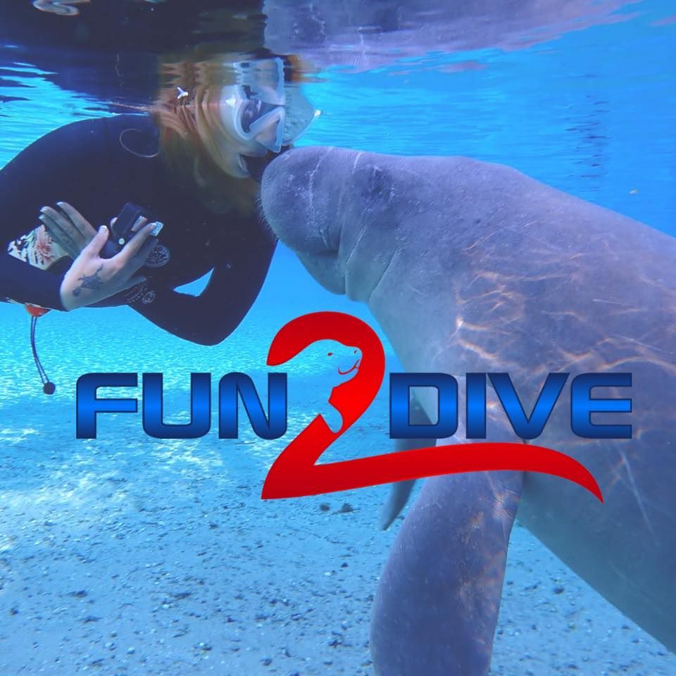 Fun 2 Dive's icon